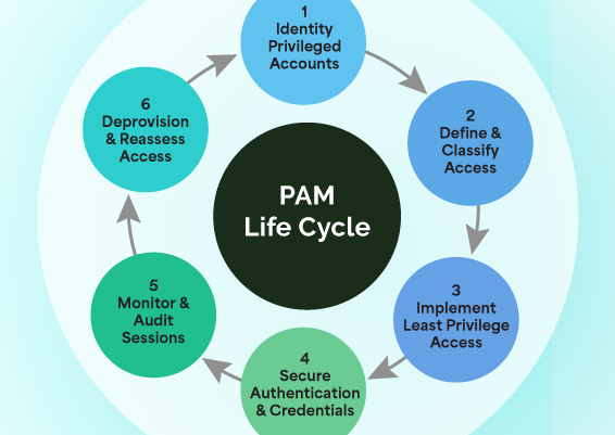 pam lifecycle box